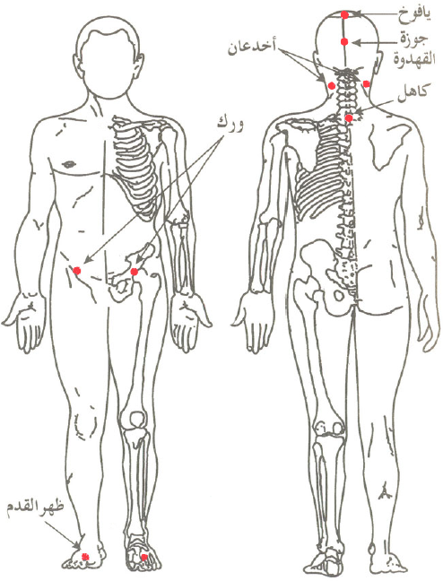 Klinik Perubatan Integratif