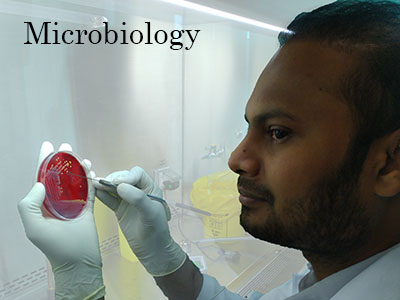 Microbiology