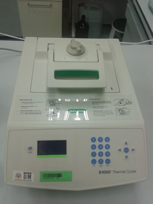 Picture1