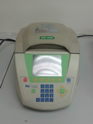 Picture2