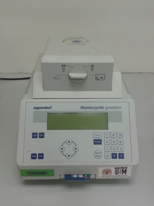 Picture3