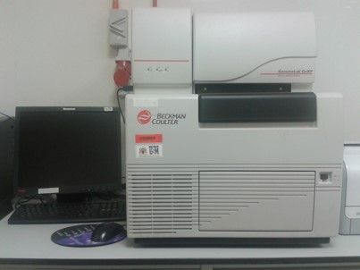 Picture4