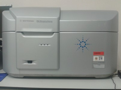 Picture5