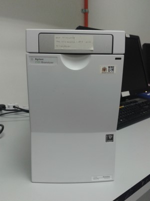Picture6