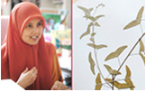 researchpic