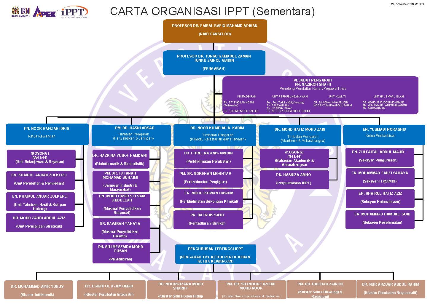 Organizational Structure
