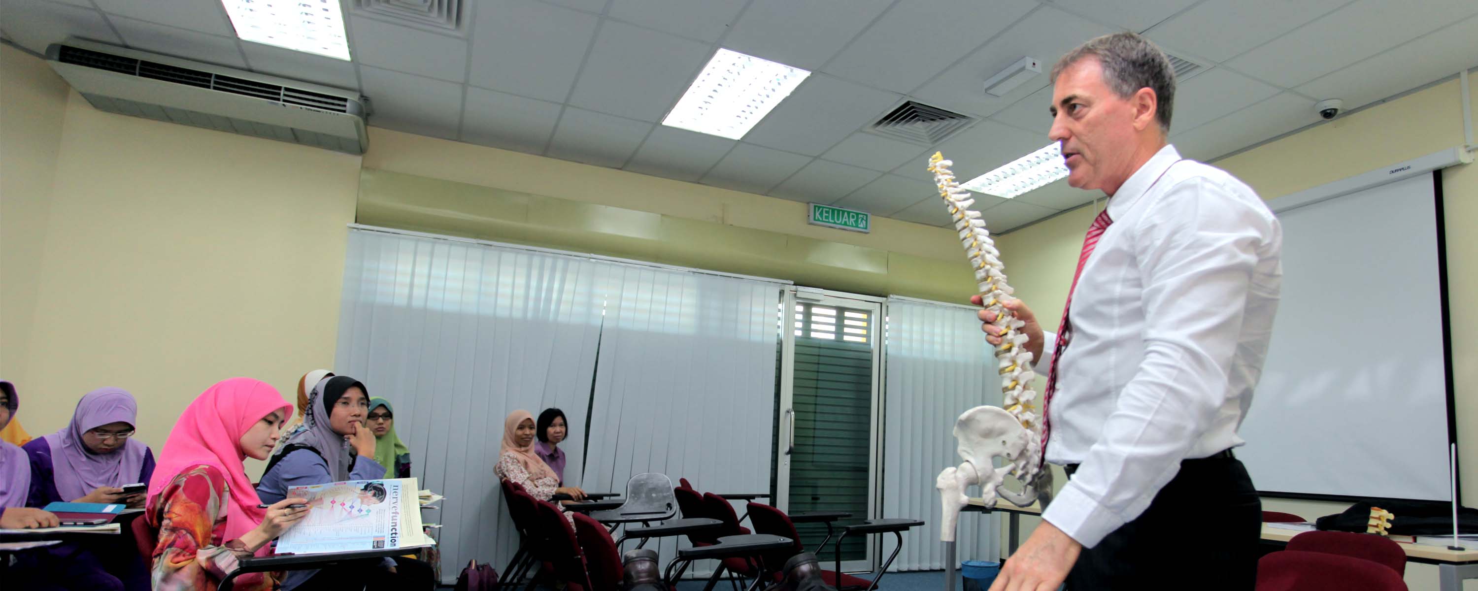 Chiropractic