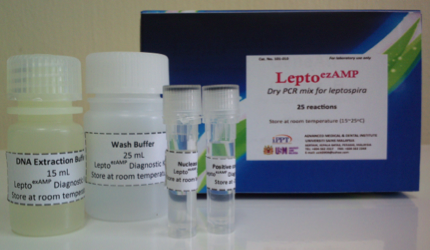 lepto